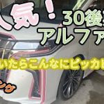 【磨きシリーズ】#2 大人気！30後期アルファードを磨いてピッカピカにしてみた✨