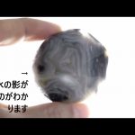 水入り瑪瑙 原石 磨き 59.5g / Enhydro Agate(Water Agate)