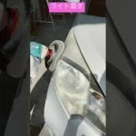 ライト磨き　大分市森町　車修理・車検のことなら親切、丁寧な別保自動車へ　ご希望のお車の手配も承っております　お気軽にご相談ください　953 #short