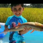 Baby Real Fish In Inflatable Swimming Pool | Funny baby videos