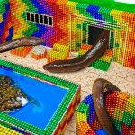 Build Underground Swimming Pool, Underground House For Eel and Frog From Magnetic Balls #28