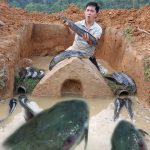 Dig a hole to build an underground house to trap fish to catch a lot of fish 2022