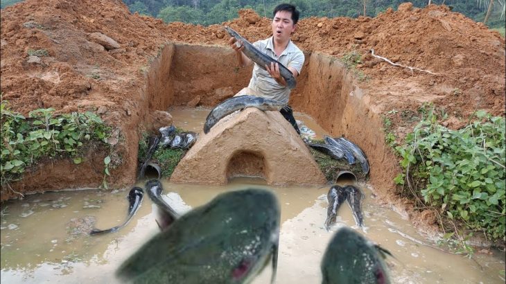 Dig a hole to build an underground house to trap fish to catch a lot of fish 2022