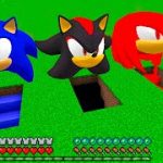 I Found SONIC and KNUCKLES and SHADOW SONIC UNDERGROUND HOUSE in Minecraft CHOOSE SECRET HOUSE