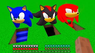I Found SONIC and KNUCKLES and SHADOW SONIC UNDERGROUND HOUSE in Minecraft CHOOSE SECRET HOUSE
