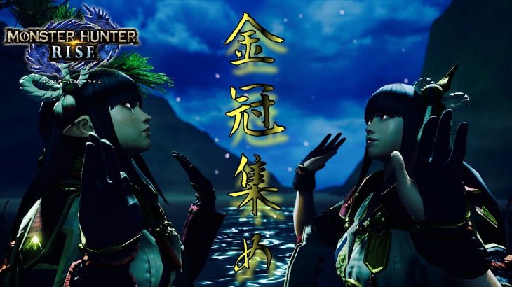 【MHRise】サンブレイクまでもう少し‼ライズで腕磨き‼【視聴者参加型】