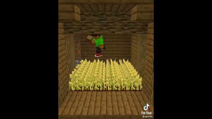 Minecraft underground house