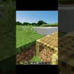 Working Swimming Pool in Minecraft #shorts #minecraft #lifehacks