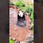 kids playing,swimming pool,underground swimming pool,friends in swimming pool,swimming,swimmin