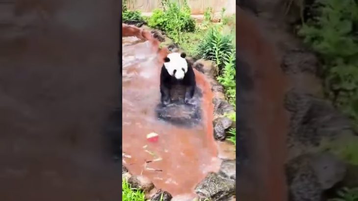 kids playing,swimming pool,underground swimming pool,friends in swimming pool,swimming,swimmin