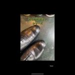 その靴は何！？シリーズ、これは・・・ #shorts #靴磨き