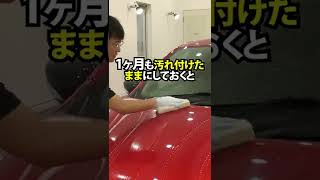 車は毎週洗ったほうがいい？洗車のプロがおすすめする洗車頻度！ #shorts