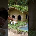 underground building with