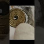 コイン　磨き　