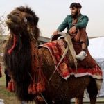 | ویدیویی از سال ۱۳۹۹ | جشن و یا میله دهقان| کابل افغانستان