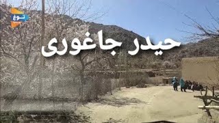 یادی از گوشهء وطن| از توغ مدیا توغ کنید