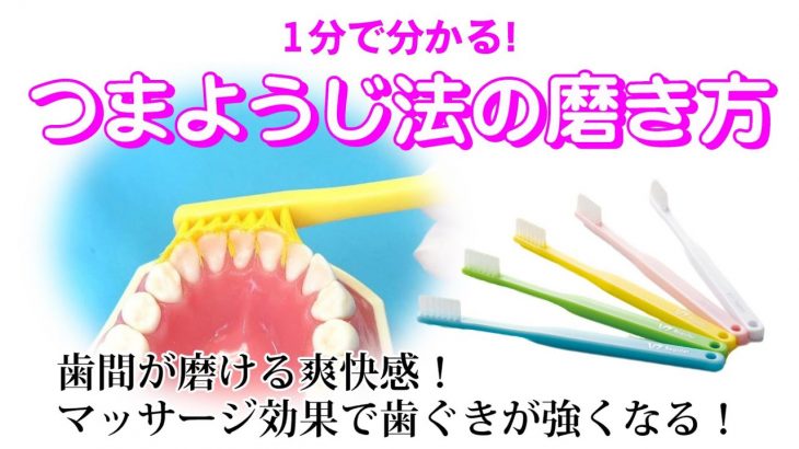 1分で分かる！つまようじ法の磨き方