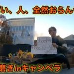 オーストラリア首都、キャンベラで路上靴磨き。靴磨き世界一周アジア編22日目