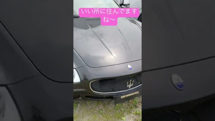 #マセラティ#豪邸#アマガエル#3Q株式会社