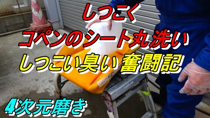 4次元磨き コペンのシート分解して丸洗い