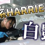 【車磨き】元車屋磨き女子、60系ハリアーを磨く｜固形ワックスの吹き残しで失われたパールホワイトは磨くと、どれだけ変化がある？【RUPES】