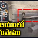 Cobra Enters Into Lord Shiva Temple In Kusumanchi Village | Khammam | V6 News