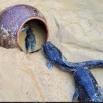 Dig hole Build Underground House Fish trap – The most beautiful underground house made from Clay Mud