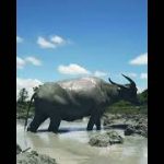 How to built the most  modern underground swimming pools with underground house/#shorts