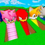 I Found SONIC AMY ROSE KNUCKLES TAILS SHADOW SUPERSONIC HEDGEHOG UNDERGROUND HOUSE in Minecraft !