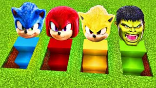 I Found SONIC and KNUCKLES and SUPER SONIC and HULK UNDERGROUND HOUSE in Minecraft !