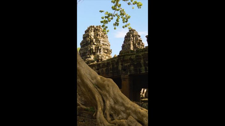 Lost City FOUND in Cambodia Jungle #shorts