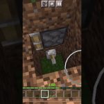 Secret underground house in Minecraft be like: