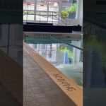 Summer II Swimming Pool II Our Pool View #shorts #youtubeshorts #usa