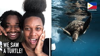 Swimming with a MILLION sardines Moalboal ?? || Cebu, The Philippines