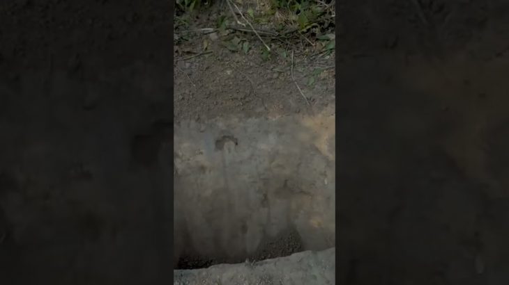 mr.heang update, water slide park, underground house, tunnel, underground swimming pool, building,