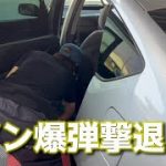 【プリウス】洗車と手磨きのみできれいに！？