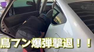 【プリウス】洗車と手磨きのみできれいに！？