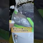 ヘッドライト研磨