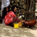 صغرا برای کمک به کجا آمده؟