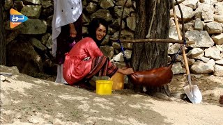 صغرا برای کمک به کجا آمده؟