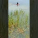 90 Days Built Underground Temple Tunnel and Water Slide Pool