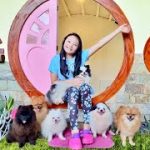 Bug builds a Dome House for puppies ! ?