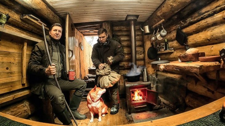 Building A DUGOUT – PROTECTION FROM ANIMALS | NEW CEILING | SPRUCE TEARS | HOUSE UNDERGROUND