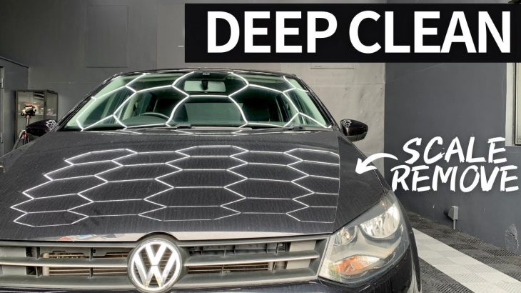 スケールびっしりでくすんだ車を徹底洗車してツヤツヤにします【DEEP CLEAN】Satisfying Auto Detailing【Volkswagen】