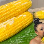 ESPIGA DE MILHO IGUAL DE NOVELA