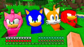I Found SONIC and AMY ROSE and TAILS and KNUCKLES UNDERGROUND HOUSE in Minecraft