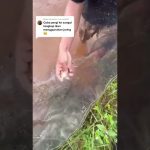 Menangkap ikan di sungai