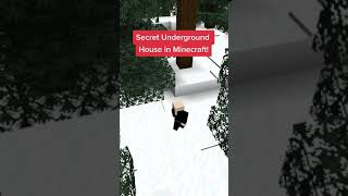 Secret Minecraft Underground House Build Idea! #shorts #short #shortvideo
