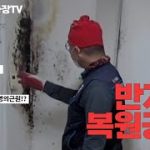 handyman 반지하 집수리 Semi-underground house repair