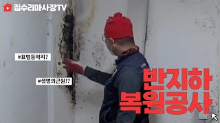 handyman 반지하 집수리 Semi-underground house repair